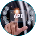 Integration & API Development