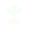 Shipt